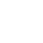 shopify image logo